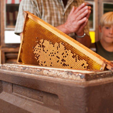 Bee Keeping