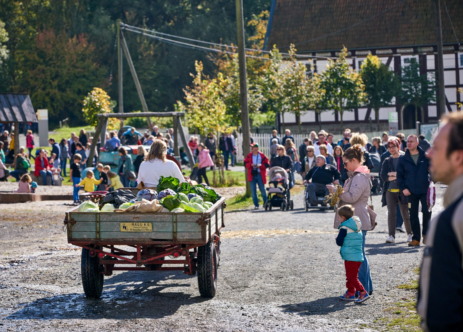 Mit Kohl beladener Trecker beim Erntefest