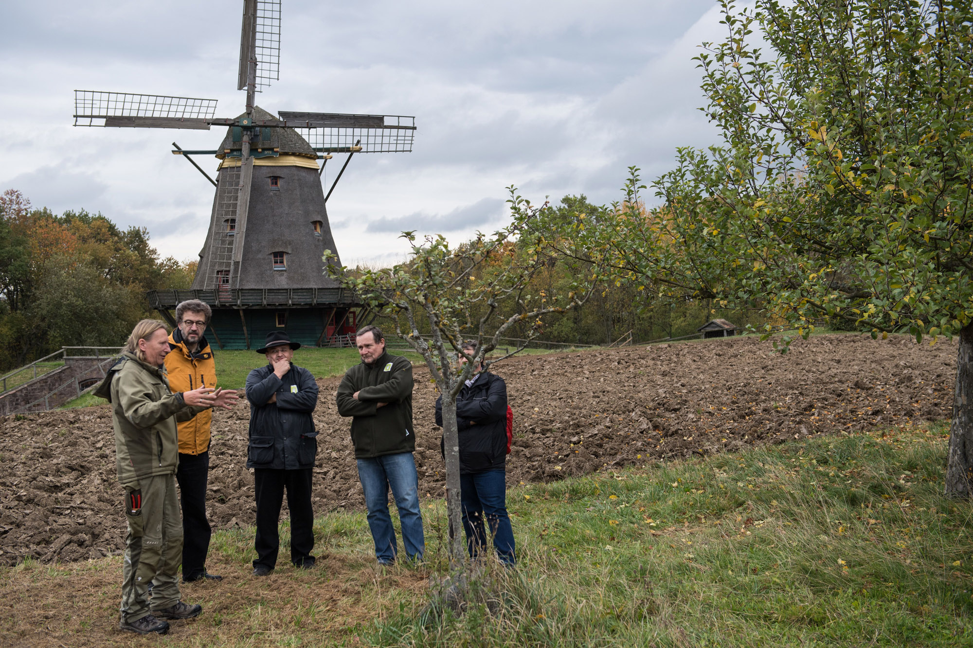 Während einer Führung zum Thema "Obstbaumschnitt" sind fünf Personen um einen kleinen Apfelbaum versammel. Im Hintergrund sieht man einen Acker und die Windmühle aus Borsfleth.