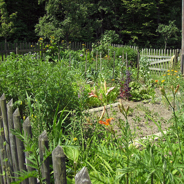 Blühender Nutzgarten im Sommer