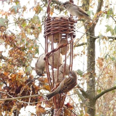 Weidenflechten Füllhorn als Futterstation für Meisenknödel