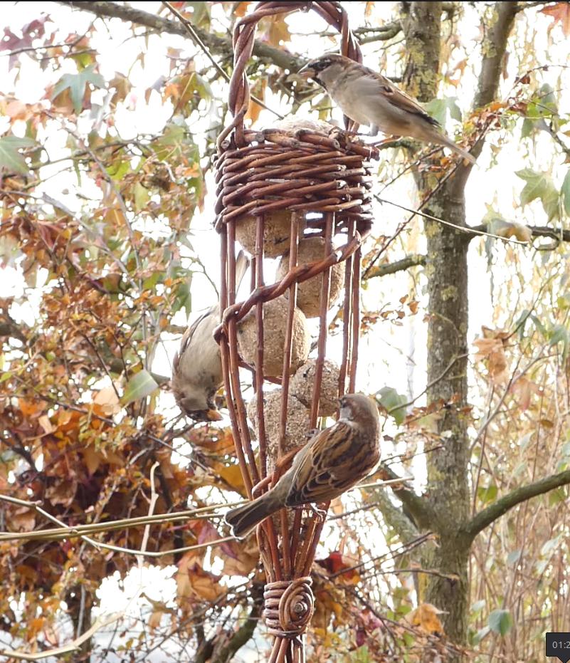 Weidenflechten Füllhorn als Futterstation für Meisenknödel