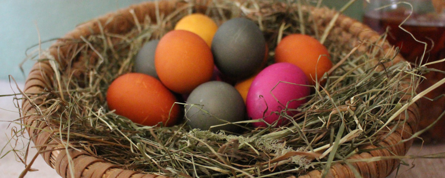 Bunt gefärbte Ostereier, mit natürlichen Farben, in einem Strohnest