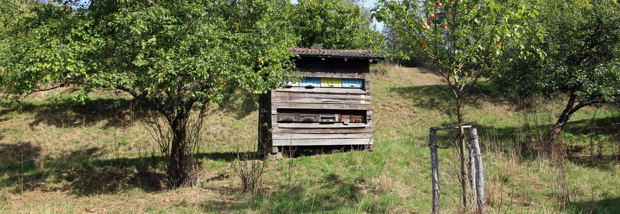 Imkerfreistand in der Baugruppe Rhein-Main