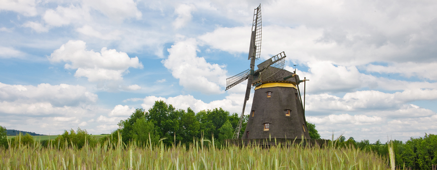 Die WIndmühle auf grünen Feldern.