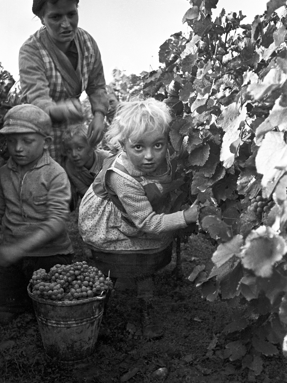 » Löber 1338 Freilichtmuseum Hessenpark