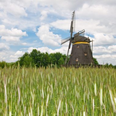 Kappenwindmühle aus Borsfleth