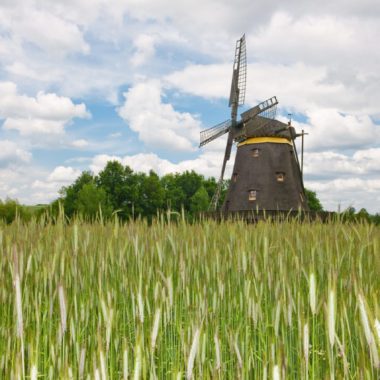 Windmill from Borsfleth