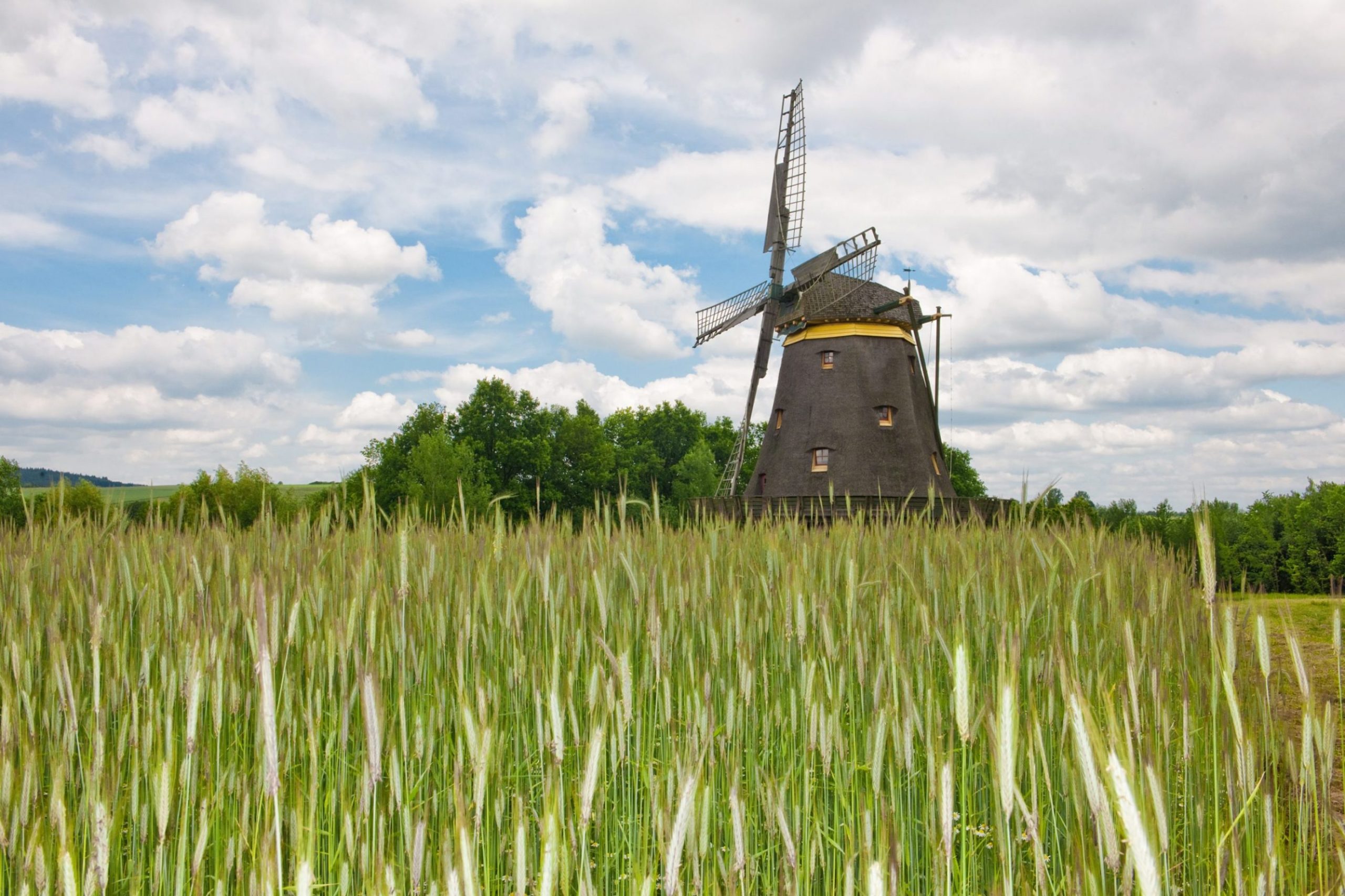 Kappenwindmühle aus Borsfleth