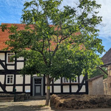 Haus aus Nieder-Gemünden nach der Sanierung 2025