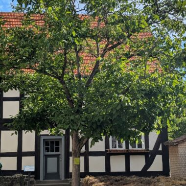 Haus aus Nieder-Gemünden nach der Sanierung 2025