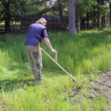 Landwirt beim Grasschnitt mit der Sense