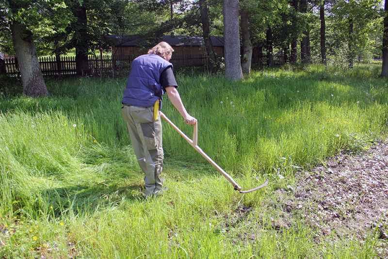 Landwirt beim Grasschnitt mit der Sense