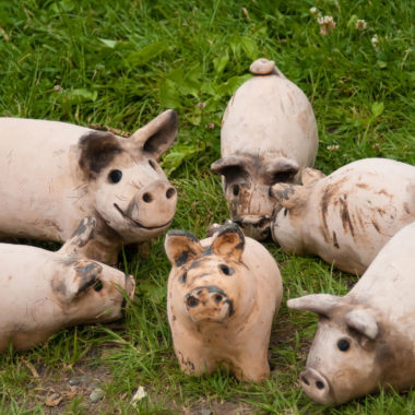 Keramikschweinchen auf grüner Wiese