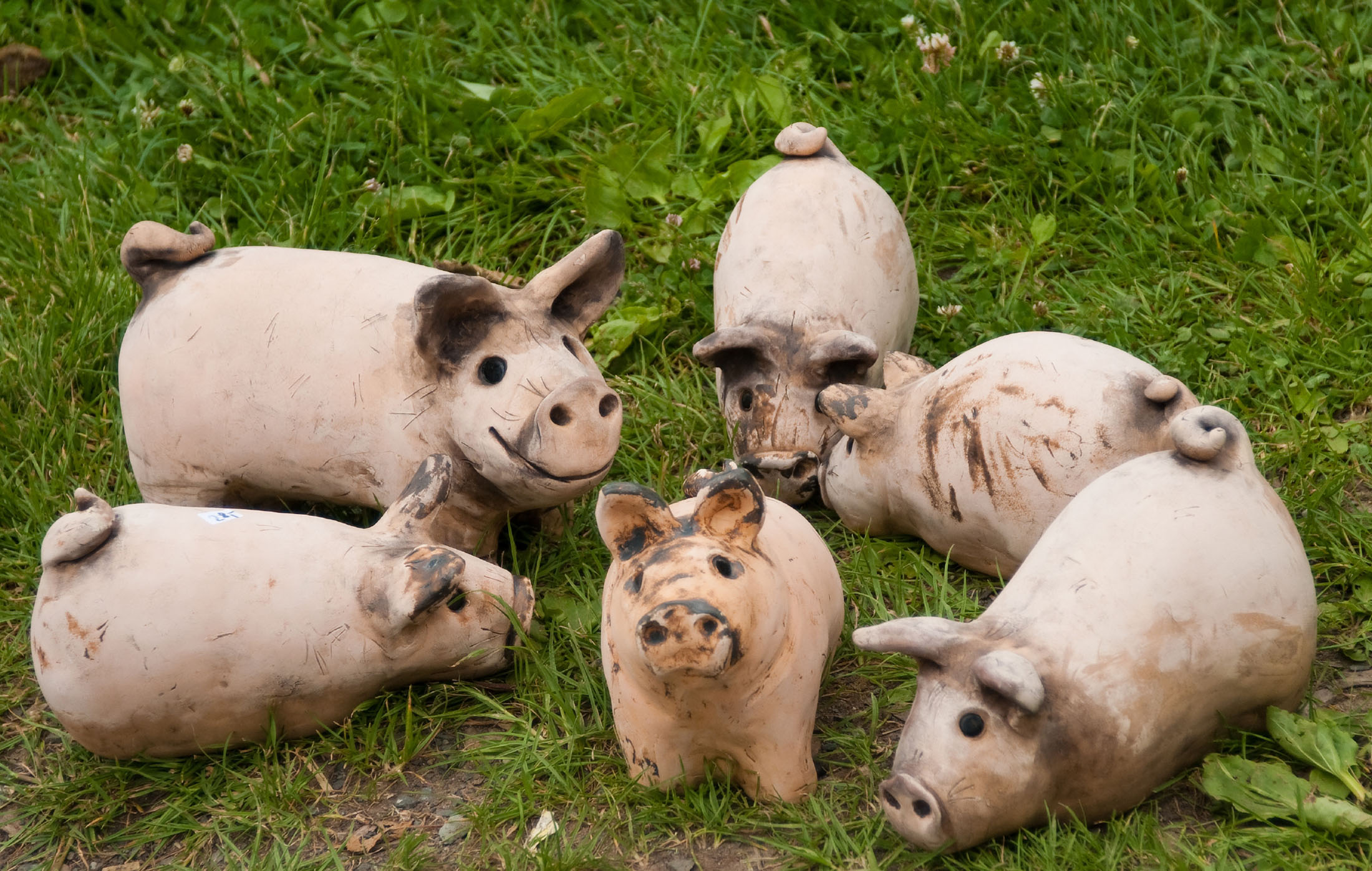 Keramikschweinchen auf grüner Wiese
