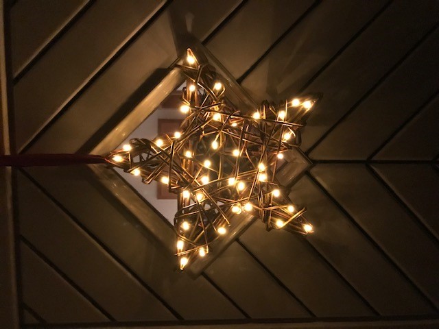 Weidestern mit Lichtern