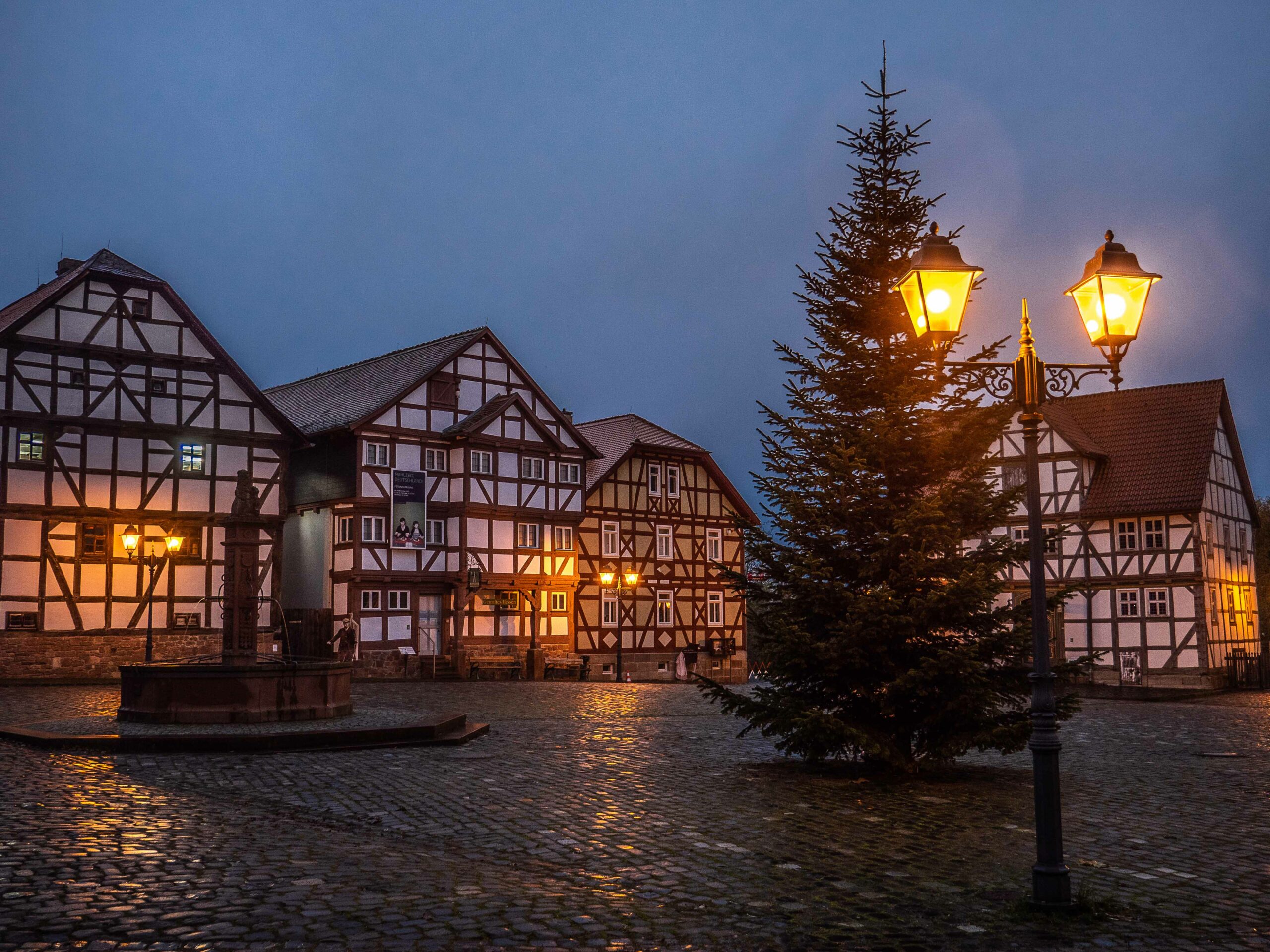 Weihnachtsbaum auf dem Marktplatz