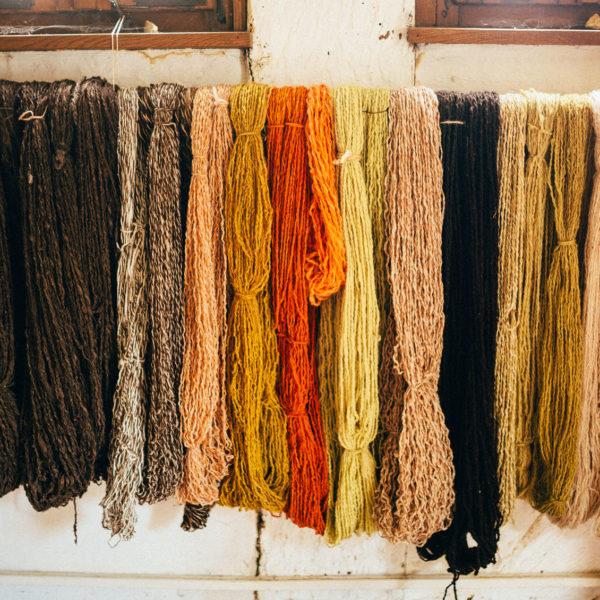 In der Wollwerkstatt sind die eingefärbten Wollstränge in einer Reihe auf einem Holzstab aufgehängt.